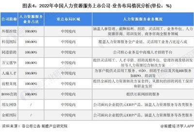 上市公司资质和简要咨询区域格局逻辑可用以下模式方正式行数据报告简距示——）