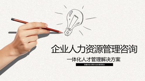 企业人力资源管理咨询